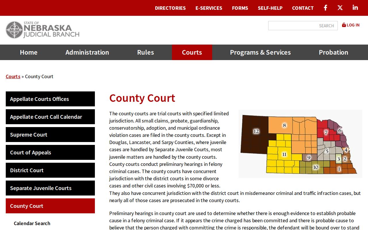 Nebraska County Court criminal docket and case records overview